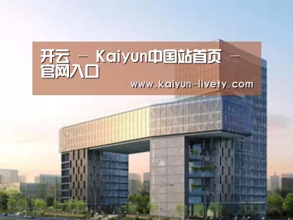 案例展示四